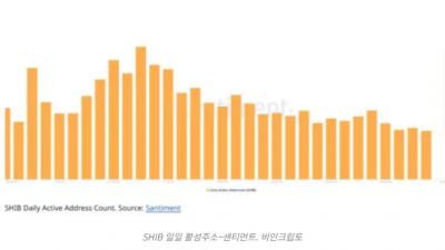 시바이누, 네트워크 활동 급감하며 2025년 최저치 기록