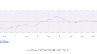 시바이누(SHIB), 30일간 27% 하락 후 반등 시도