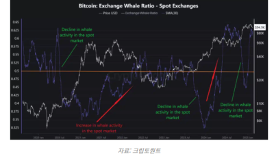 비트코인 고래 비율, 다년 최고치 기록