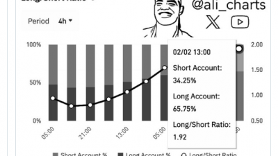 비트코인 투자자, 강한 낙관론