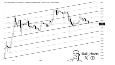 엑스알피(XRP) 지지선 붕괴, 추가 하락 가능성