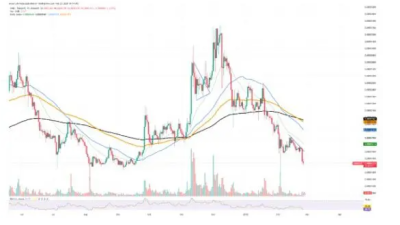 시바이누(SHIB) 보유자 60% 손실
