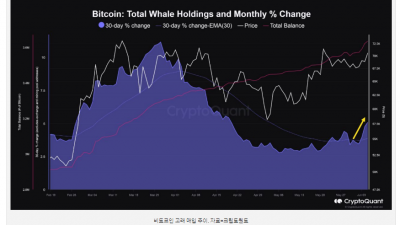 비트코인 고래 매집, 2020년 불(Bull)장 이전 수준 도달