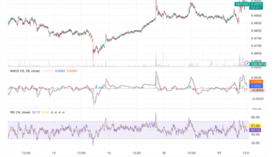 리플(XRP)의 최근 상승세는 언제까지 지속될까?