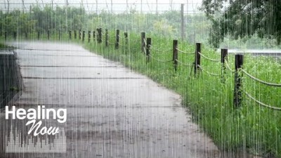 빗소리 들으며 꿈속에서 만나요