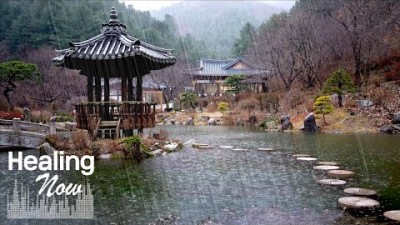 아침고요수목원의 겨울빗소리